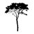 Árbol
